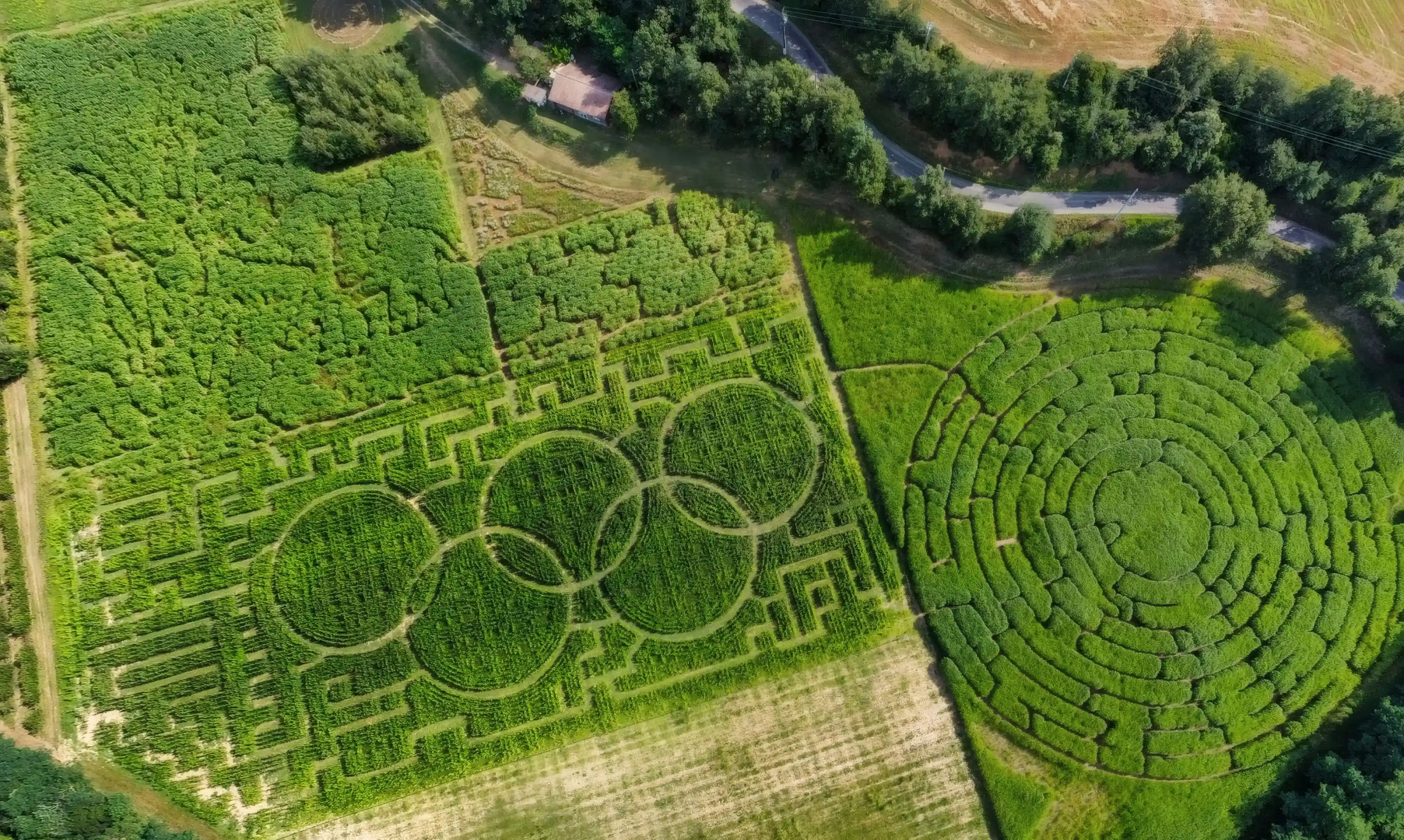 Vue aérienne du Labyrinthe végétal